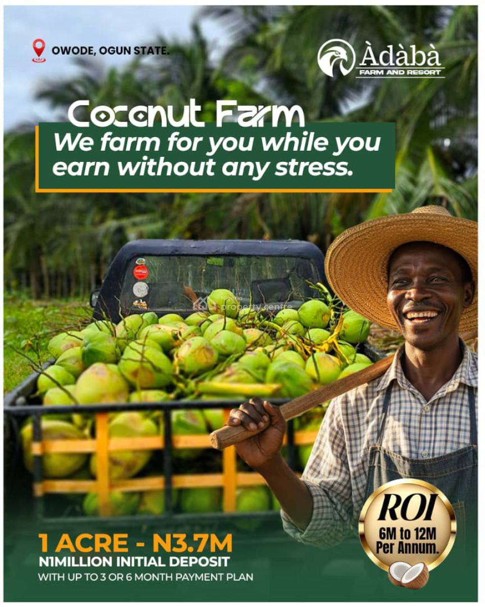 Coconut Farm Land. per Acre, Owode Ogum State, Ogijo, Ogun, Commercial Land for Sale