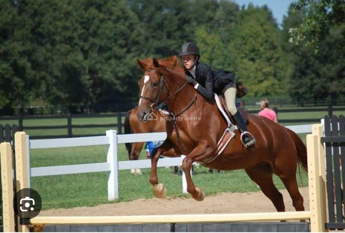 December Discount Splash on Luxury Residential Estate Plots, Eleranigbe, Ibeju Lekki, Lagos, Residential Land for Sale