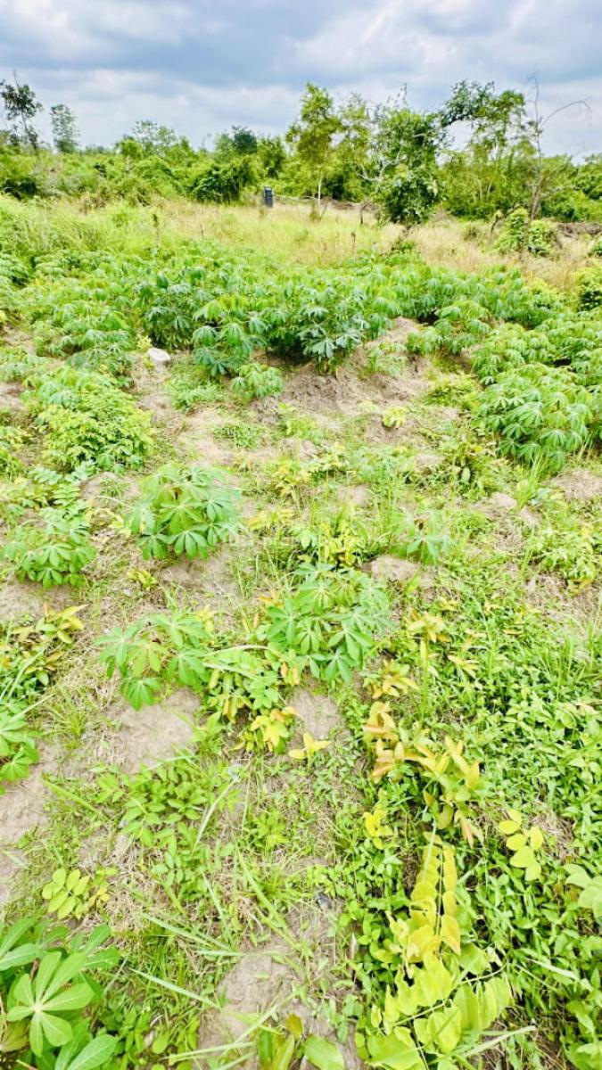 Commercial Land, Abeokuta South, Ogun, Commercial Land for Sale