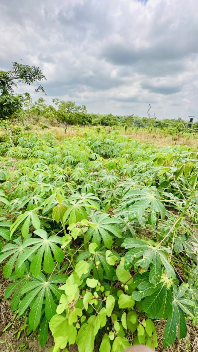 Commercial Land, Abeokuta South, Ogun, Commercial Land for Sale