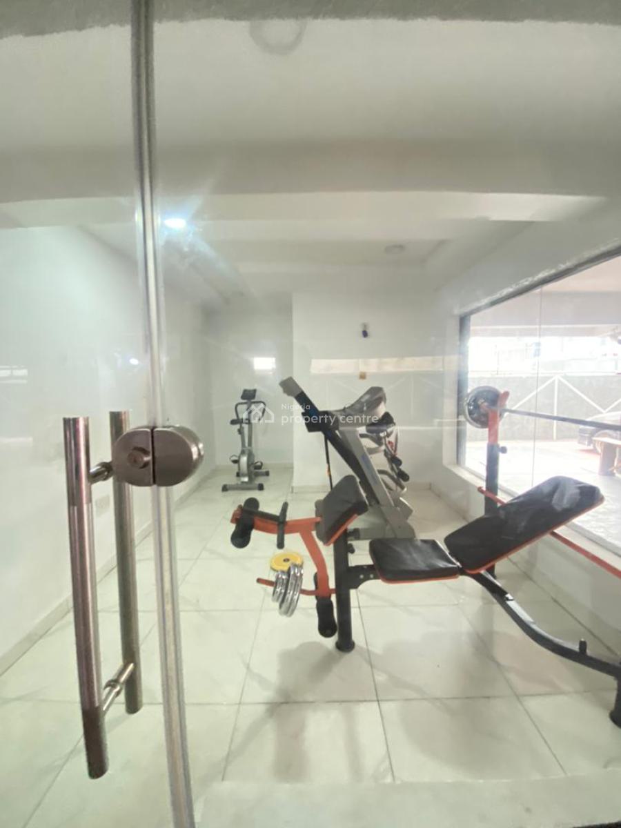 Lovely Mini Flat with Swimming Pool, Gym and 24 Hours Light, Ikate, Lekki, Lagos, Mini Flat (room and Parlour) for Rent