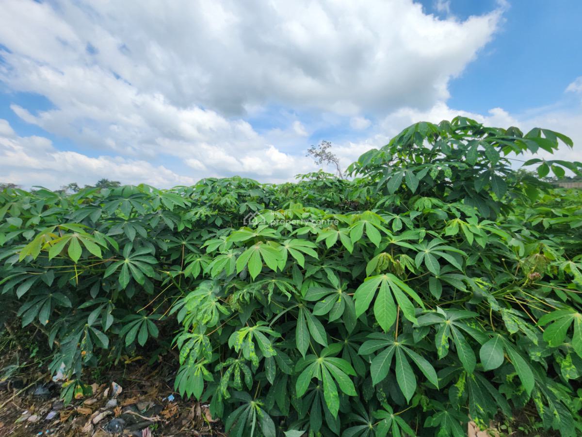 Earn 5 Million Naira Annually for 10 Years in Cassava Plantation, Alabata, Odeda Local Government, Abeokuta South, Ogun, Commercial Land for Sale