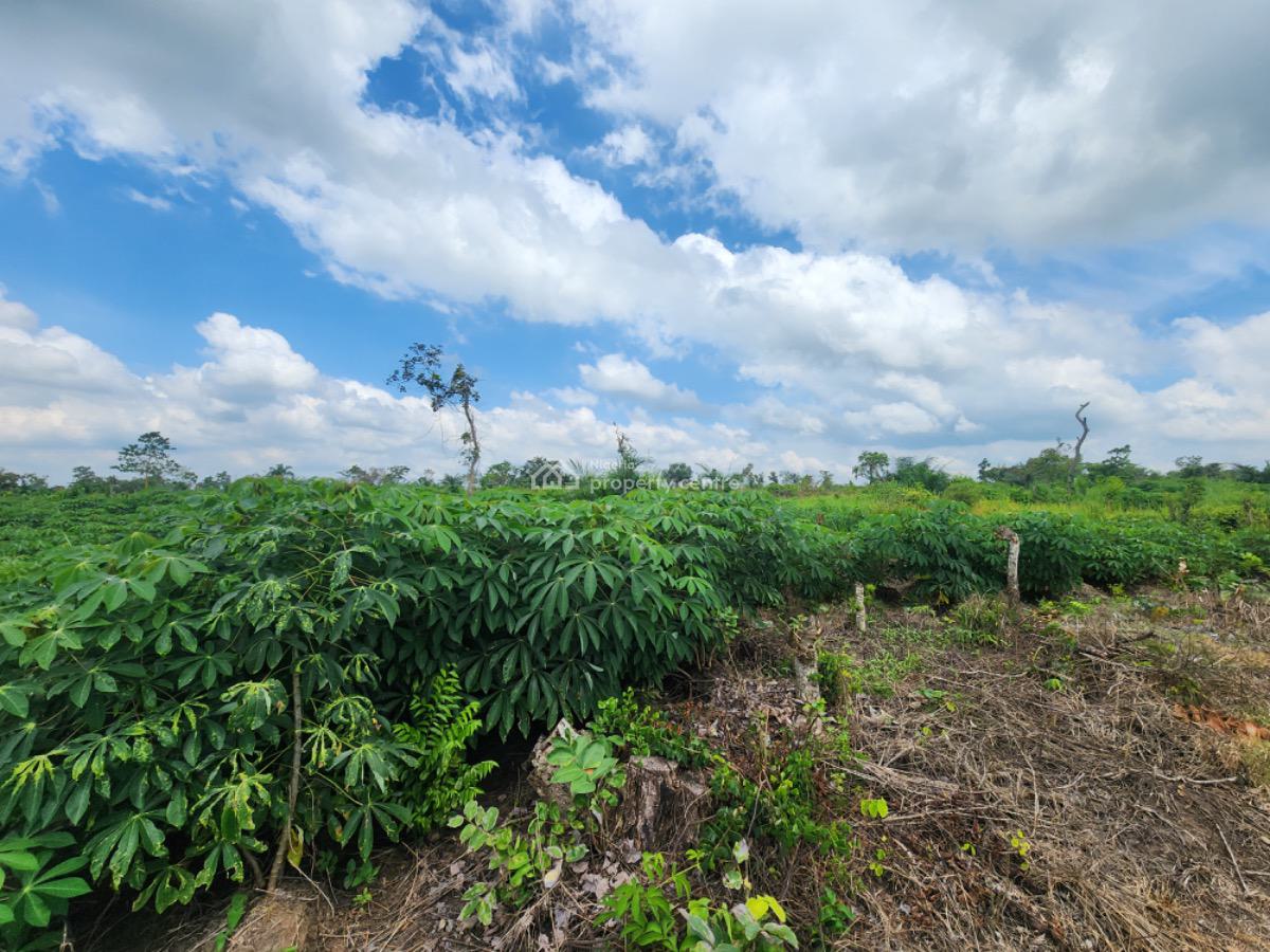 Earn 5 Million Naira Annually for 10 Years in Cassava Plantation, Alabata, Odeda Local Government, Abeokuta South, Ogun, Commercial Land for Sale