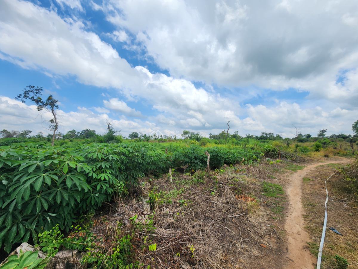 Earn 5 Million Naira Annually for 10 Years in Cassava Plantation, Alabata, Odeda Local Government, Abeokuta South, Ogun, Commercial Land for Sale