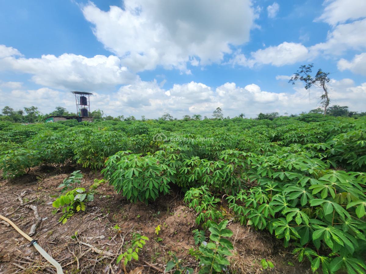 Earn 5 Million Naira Annually for 10 Years in Cassava Plantation, Alabata, Odeda Local Government, Abeokuta South, Ogun, Commercial Land for Sale