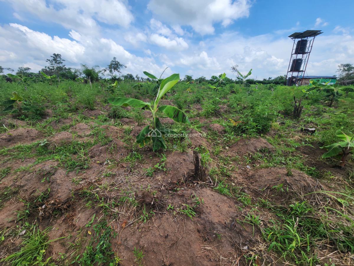 Earn 5 Million Naira Annually for 10 Years on a Plantain Plantation, Alabata Off Funnab, Abeokuta South, Ogun, Residential Land for Sale