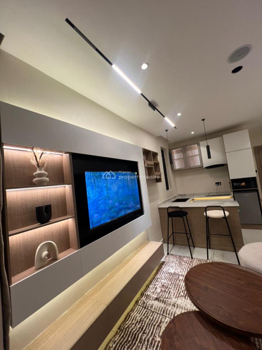 Serviced Apartments for Airbnb Business, in a Lucrative and High Demanding Area Rotimi Street Close to Tejuosho, Surulere, Lagos, Mini Flat (room and Parlour) for Sale