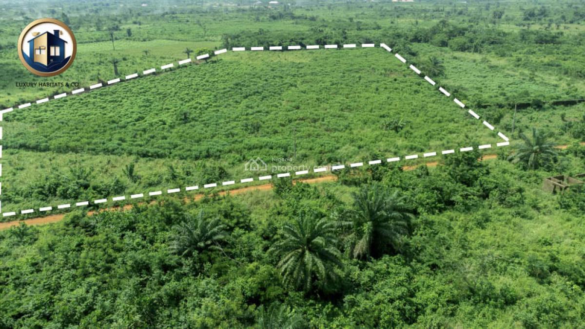 7.1 Acres Fertile Land, Jagunna Olasoju Village, Owode Egba, Obafemi-owode Lga, Obafemi Owode, Ogun, Mixed-use Land for Sale