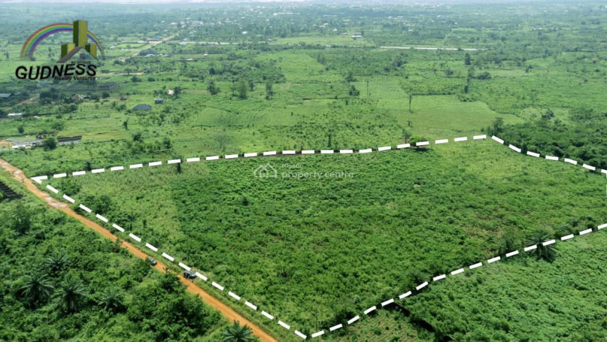 7.1 Acres Fertile Land, Jagunna Olasoju Village, Owode Egba, Obafemi-owode Lga, Obafemi Owode, Ogun, Mixed-use Land for Sale