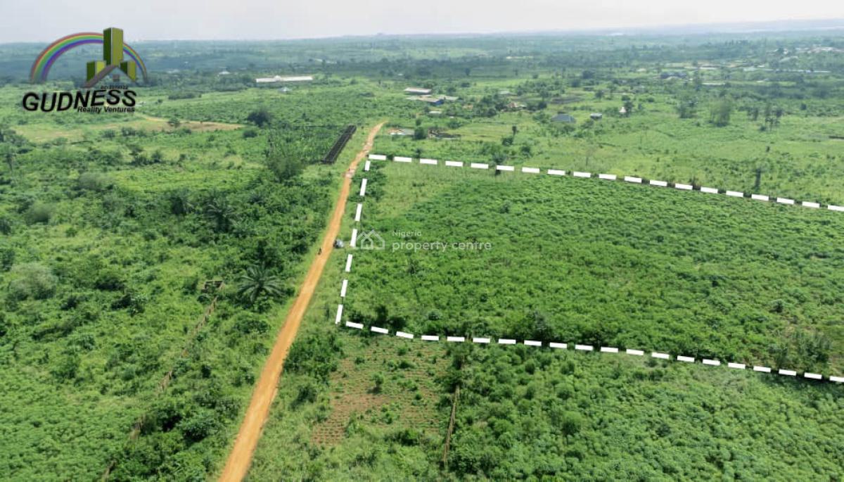 7.1 Acres Fertile Land, Jagunna Olasoju Village, Owode Egba, Obafemi-owode Lga, Obafemi Owode, Ogun, Mixed-use Land for Sale