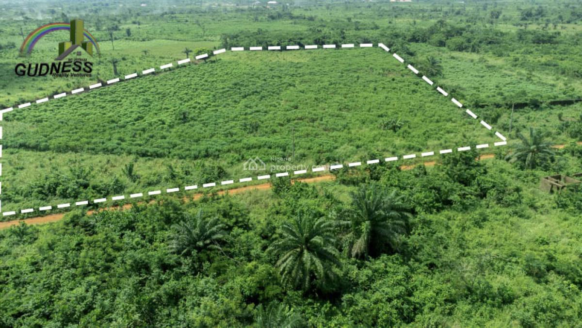 7.1 Acres Fertile Land, Jagunna Olasoju Village, Owode Egba, Obafemi-owode Lga, Obafemi Owode, Ogun, Mixed-use Land for Sale