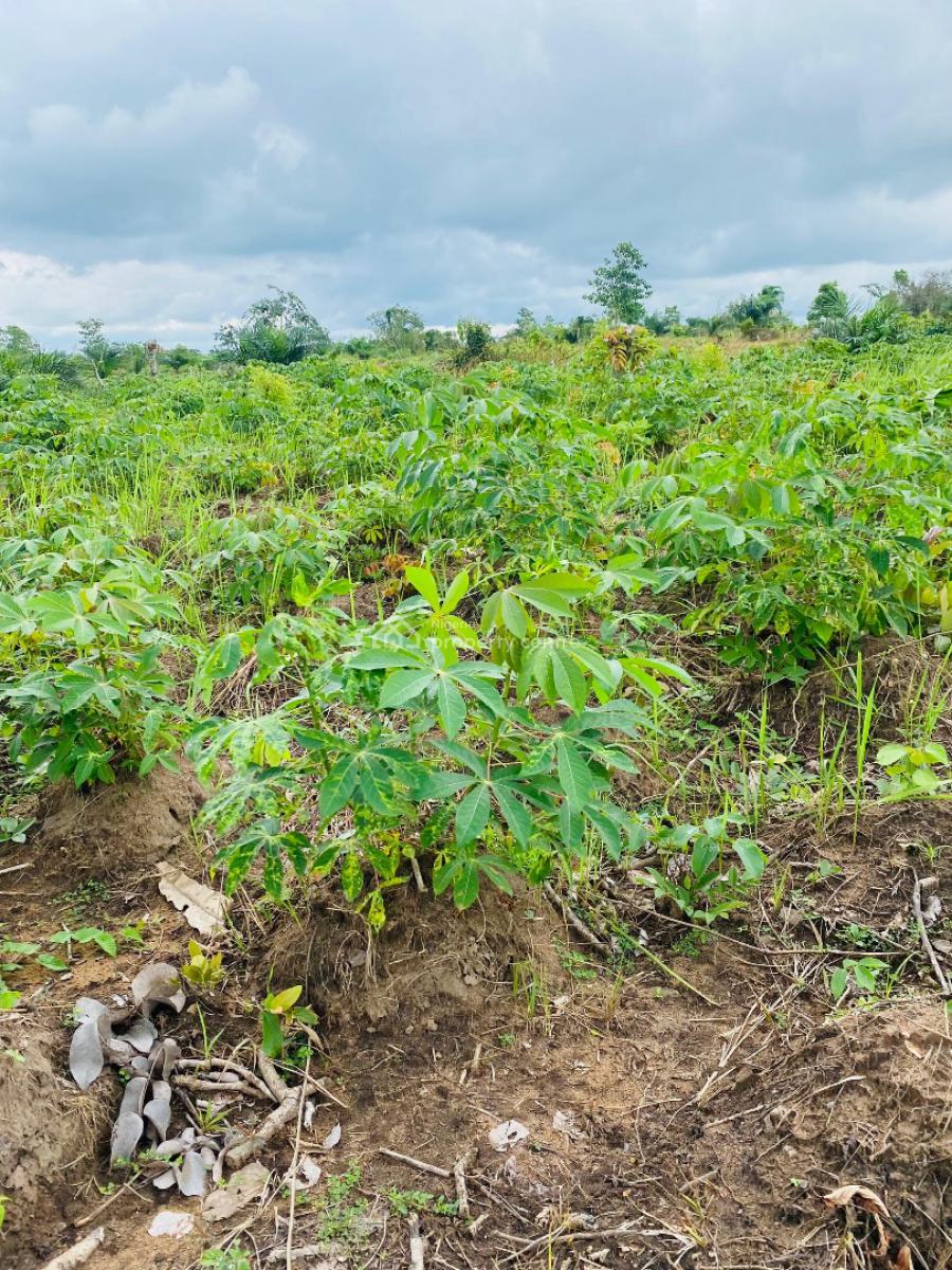 Earn 3 Million Naira Annually for 10 Years on a Cassava Plantation, Right in The Axis of Funnab, Abeokuta South, Ogun, Residential Land for Sale