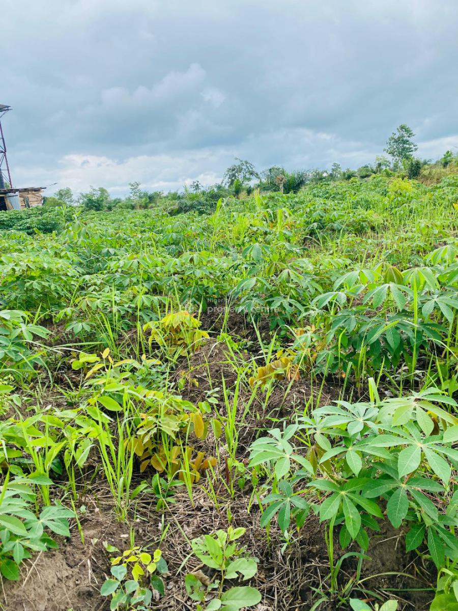 Earn 3 Million Naira Annually for 10 Years on a Cassava Plantation, Right in The Axis of Funnab, Abeokuta South, Ogun, Residential Land for Sale
