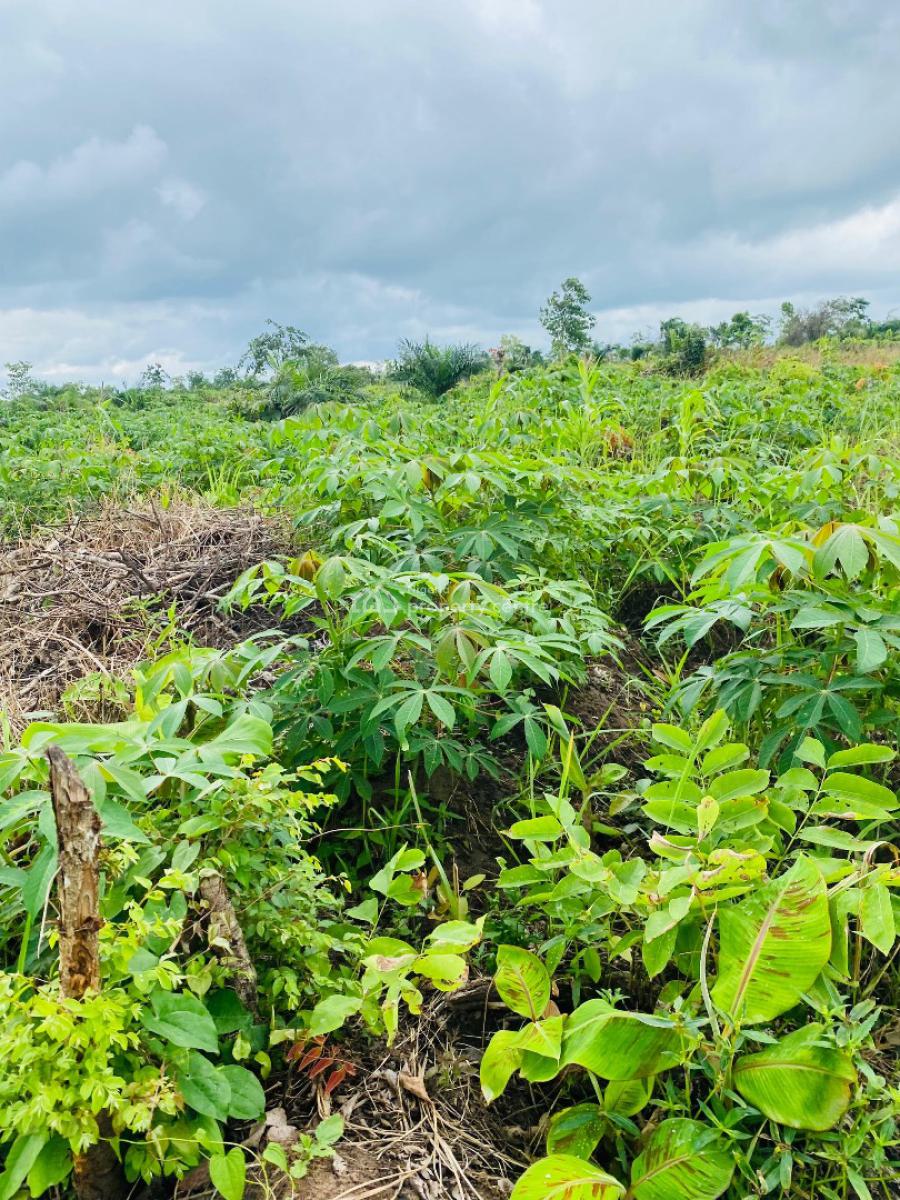 Earn 3 Million Naira Annually for 10 Years on a Cassava Plantation, Right in The Axis of Funnab, Abeokuta South, Ogun, Residential Land for Sale