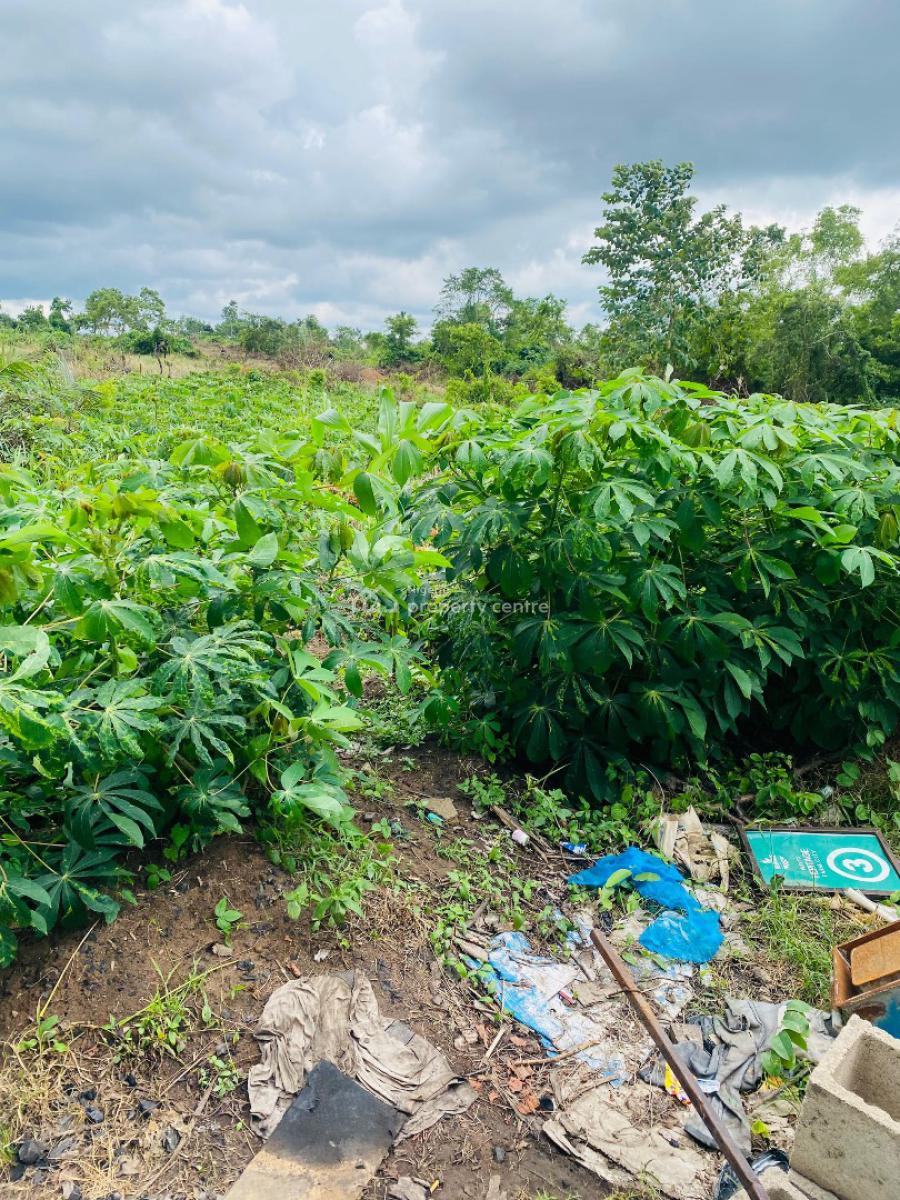 Earn 3 Million Naira Annually for 10 Years on a Cassava Plantation, Right in The Axis of Funnab, Abeokuta South, Ogun, Residential Land for Sale