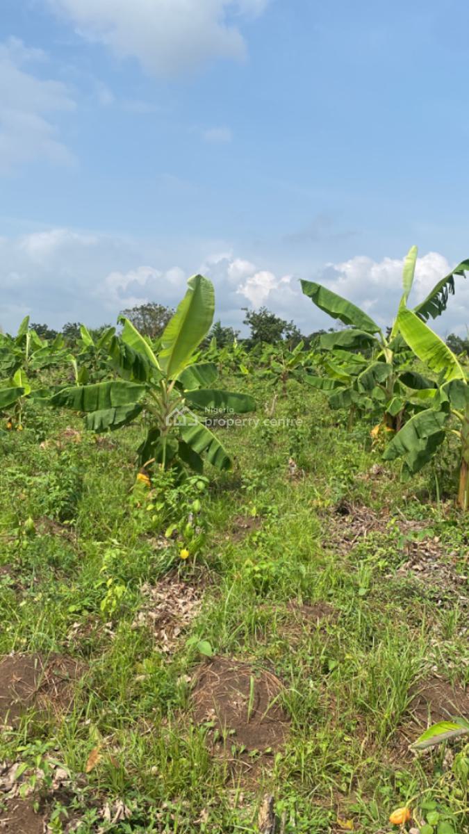 Now You Too Can Make Real, Sustainable Profit From Agriculture!, Off Funnab Alabata, Abeokuta South, Ogun, Mixed-use Land for Sale