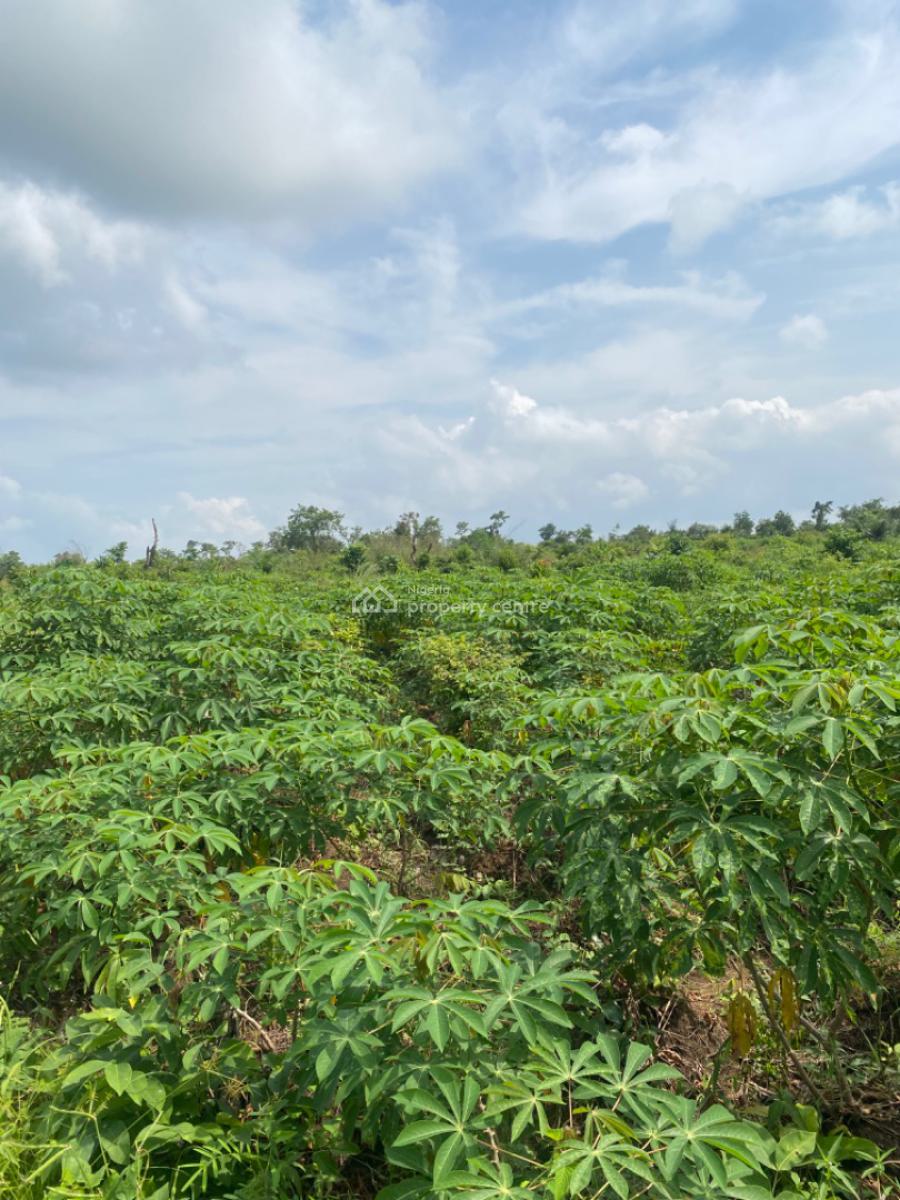 Now You Too Can Make Real, Sustainable Profit From Agriculture!, Off Funnab Alabata, Abeokuta South, Ogun, Mixed-use Land for Sale