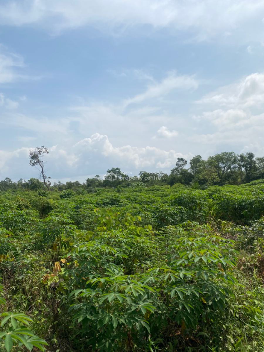 Now You Too Can Make Real, Sustainable Profit From Agriculture!, Off Funnab Alabata, Abeokuta South, Ogun, Mixed-use Land for Sale