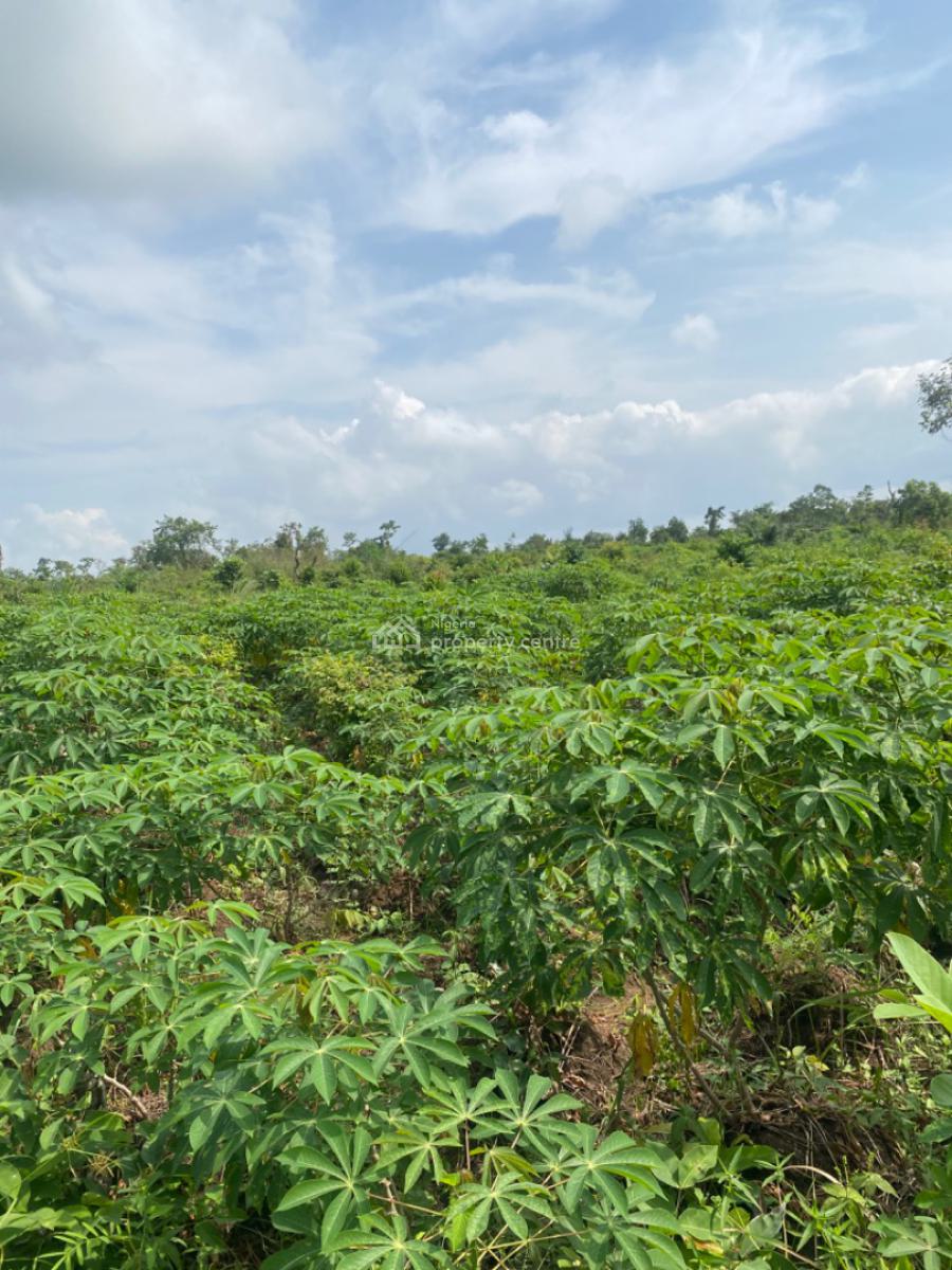 Now You Too Can Make Real, Sustainable Profit From Agriculture!, Off Funnab Alabata, Abeokuta South, Ogun, Mixed-use Land for Sale