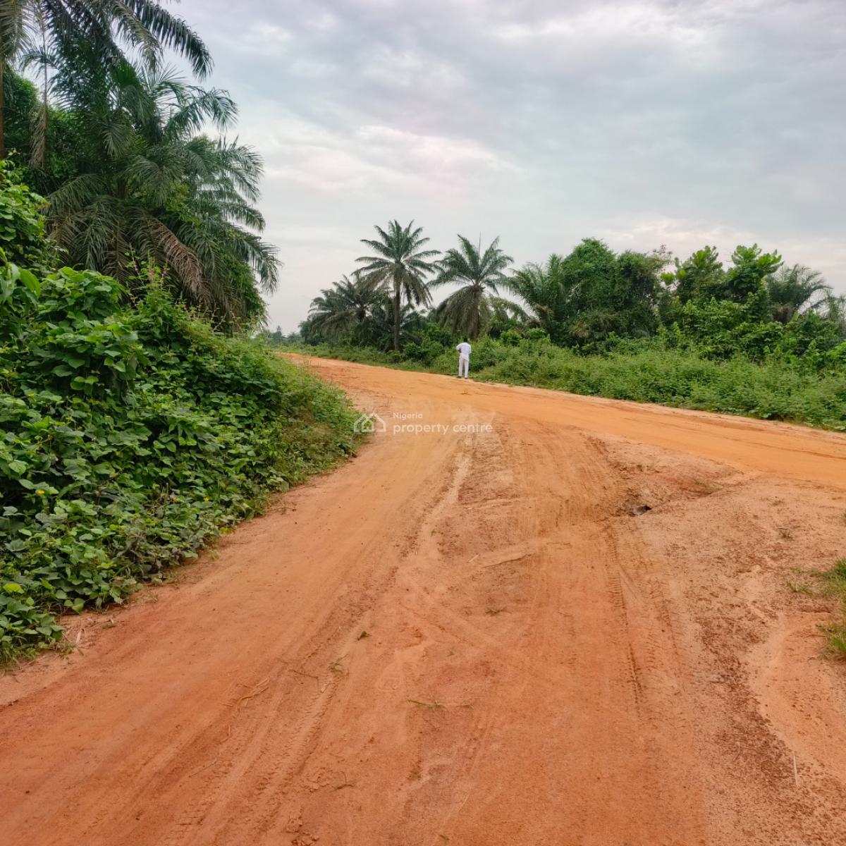 100 Acres of Farmland in Agricultural Zone with Fertile Soil, Aiyepe Town, Odogbolu, Ogun, Mixed-use Land for Sale