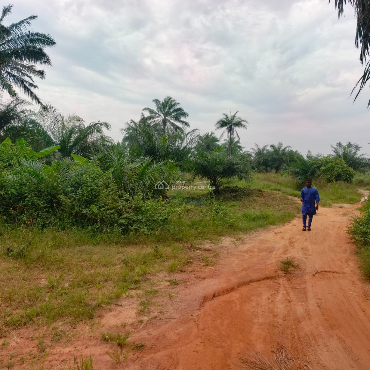 100 Acres of Farmland in Agricultural Zone with Fertile Soil, Aiyepe Town, Odogbolu, Ogun, Mixed-use Land for Sale