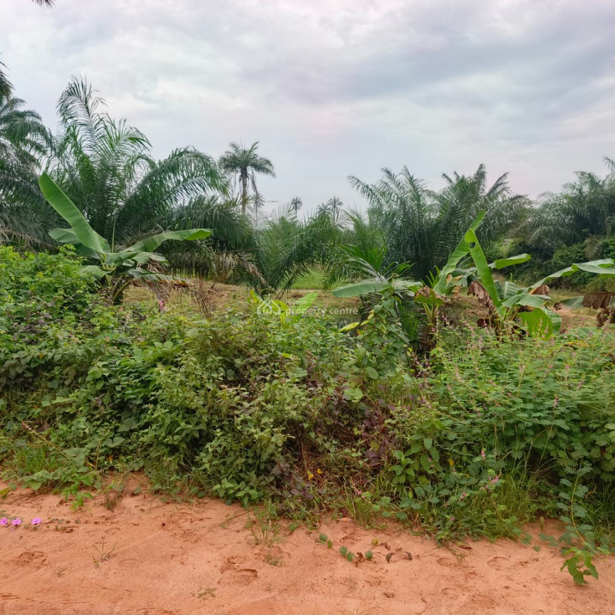 100 Acres of Farmland in Agricultural Zone with Fertile Soil, Aiyepe Town, Odogbolu, Ogun, Mixed-use Land for Sale