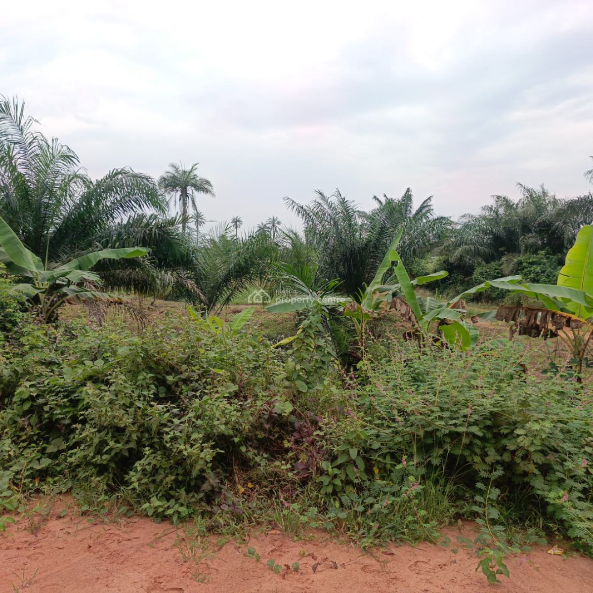 100 Acres of Farmland in Agricultural Zone with Fertile Soil, Aiyepe Town, Odogbolu, Ogun, Mixed-use Land for Sale