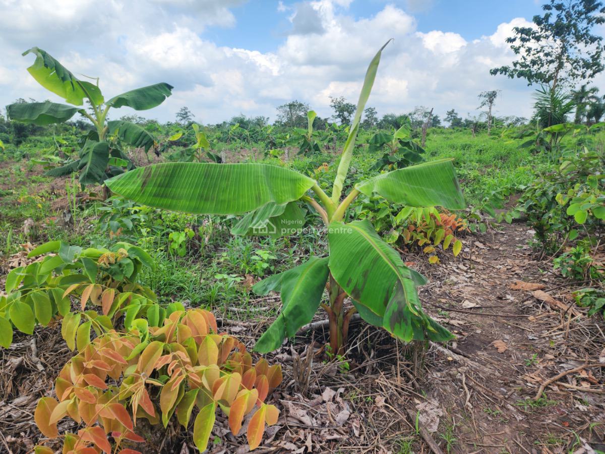 Earn 3 Million Naira for 10 Years in a Plantain Plantation, Abeokuta South, Ogun, Residential Land for Sale