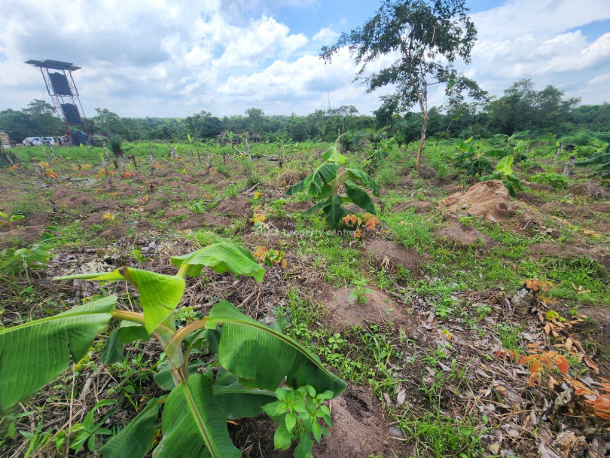 Earn 3 Million Naira for 10 Years in a Plantain Plantation, Abeokuta South, Ogun, Residential Land for Sale