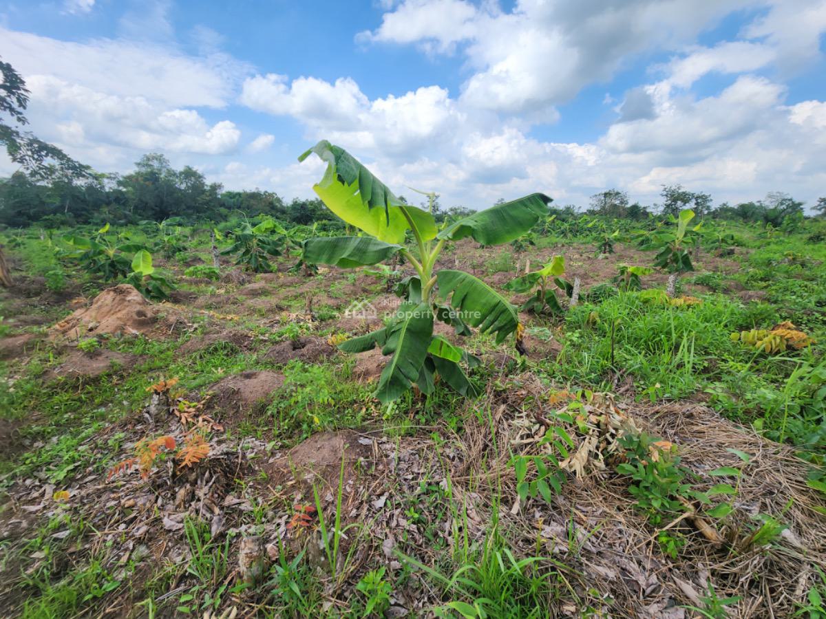 Earn 3 Million Naira for 10 Years in a Plantain Plantation, Abeokuta South, Ogun, Residential Land for Sale