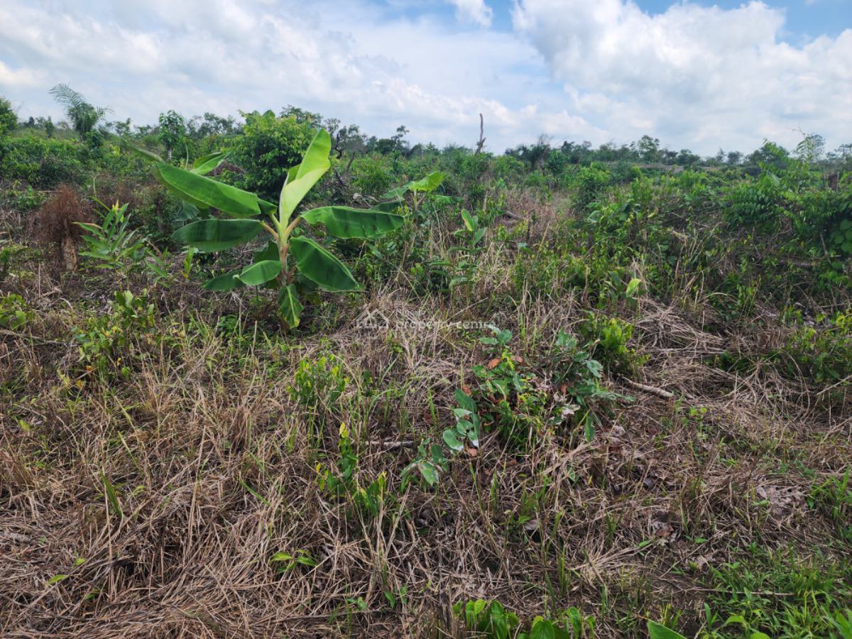 Earn 3 Million Naira for 10 Years in a Plantain Plantation, Abeokuta South, Ogun, Residential Land for Sale