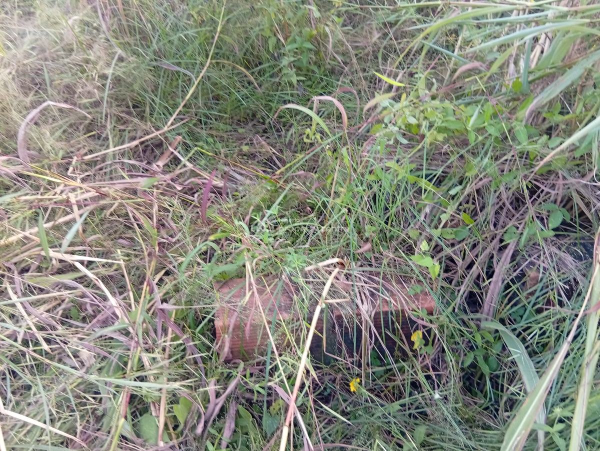 Prime Plot of Land, Adiva Plainfield Estate, Imalete Alafia, Ibeju Lekki, Lagos, Residential Land for Sale