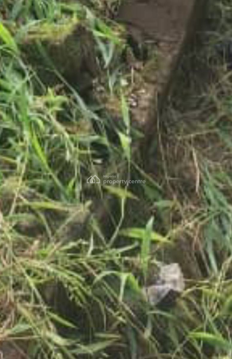 Prime Land in a Mixed Developed Area, Ojora Road, Old Ikoyi, Ikoyi, Lagos, Mixed-use Land for Sale