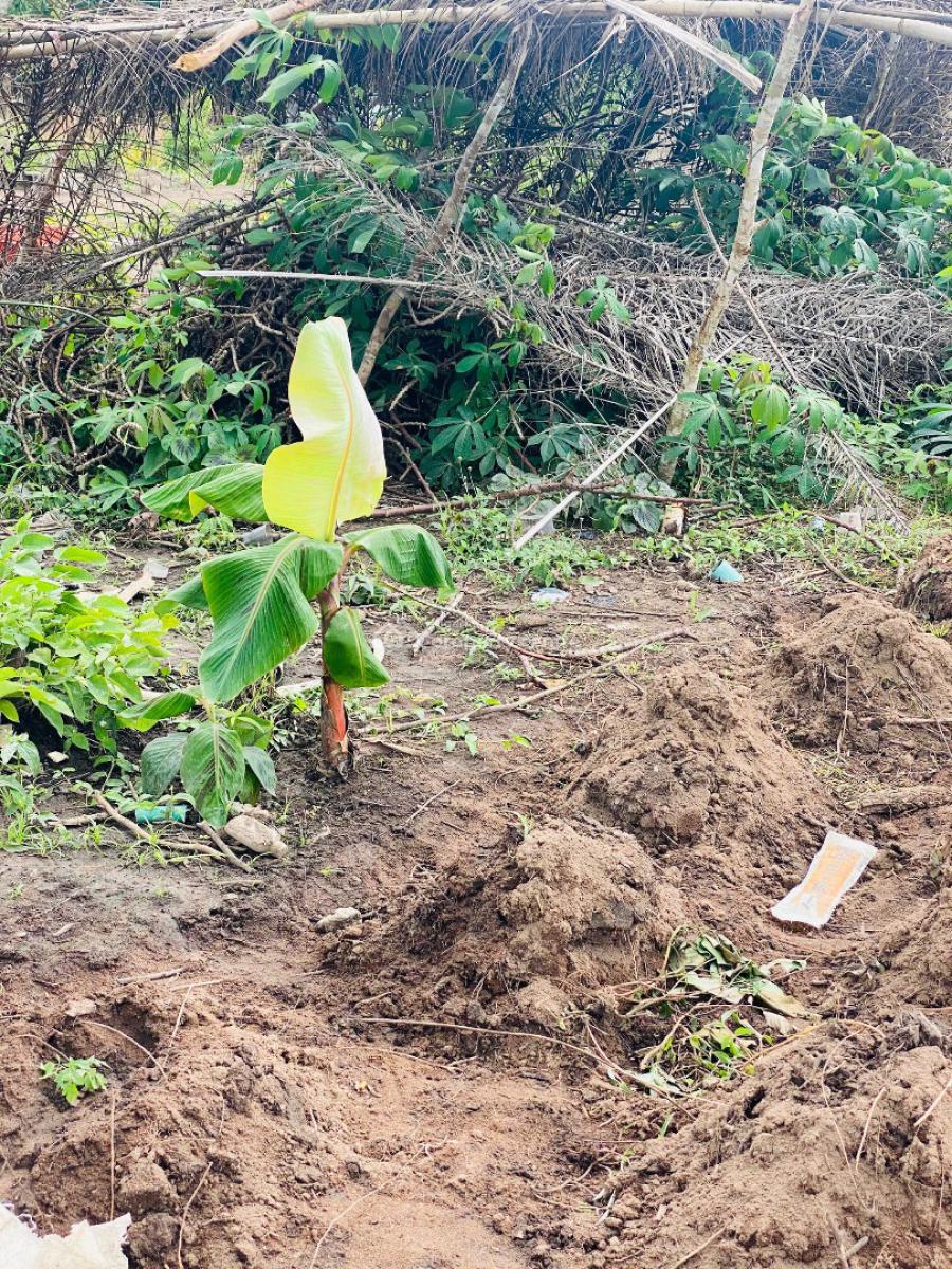 Earn 10 Million Naira Annually for 10 Years in a Plantain Plantation, Alabata Market, Off Funnab, Abeokuta South, Ogun, Residential Land for Sale