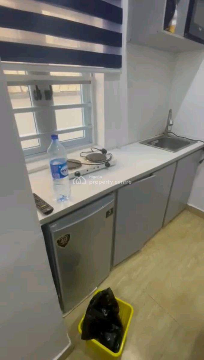 2 No of Decent Mini Duplex All Room En-suite with Guest Toilet, By Pedro Road, Shomolu, Lagos, Detached Duplex for Rent