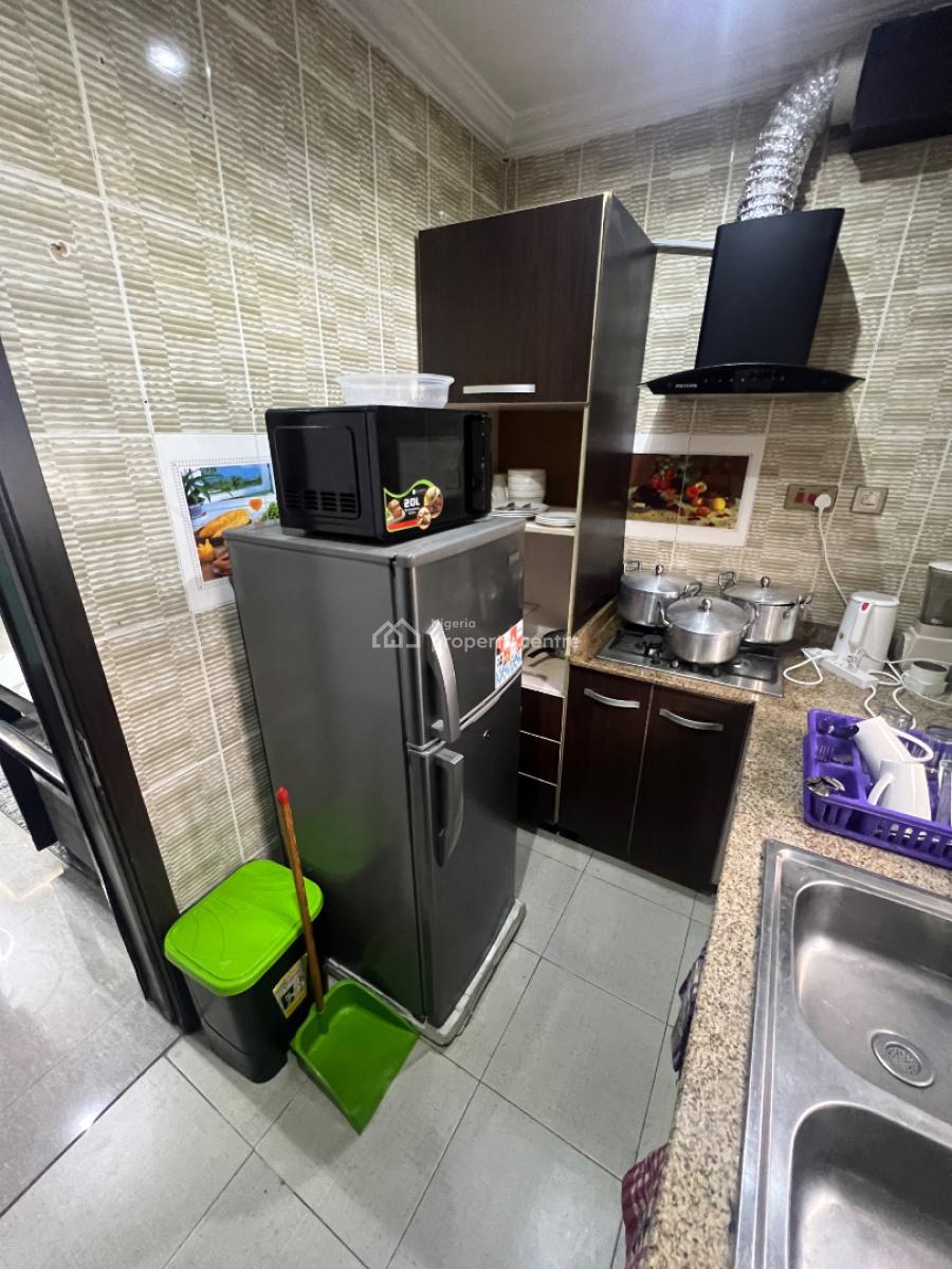 Serviced Luxury 2-bedroom Apartment with Steady Electricity, Lekki Phase 1, Lekki, Lagos, Flat / Apartment for Rent