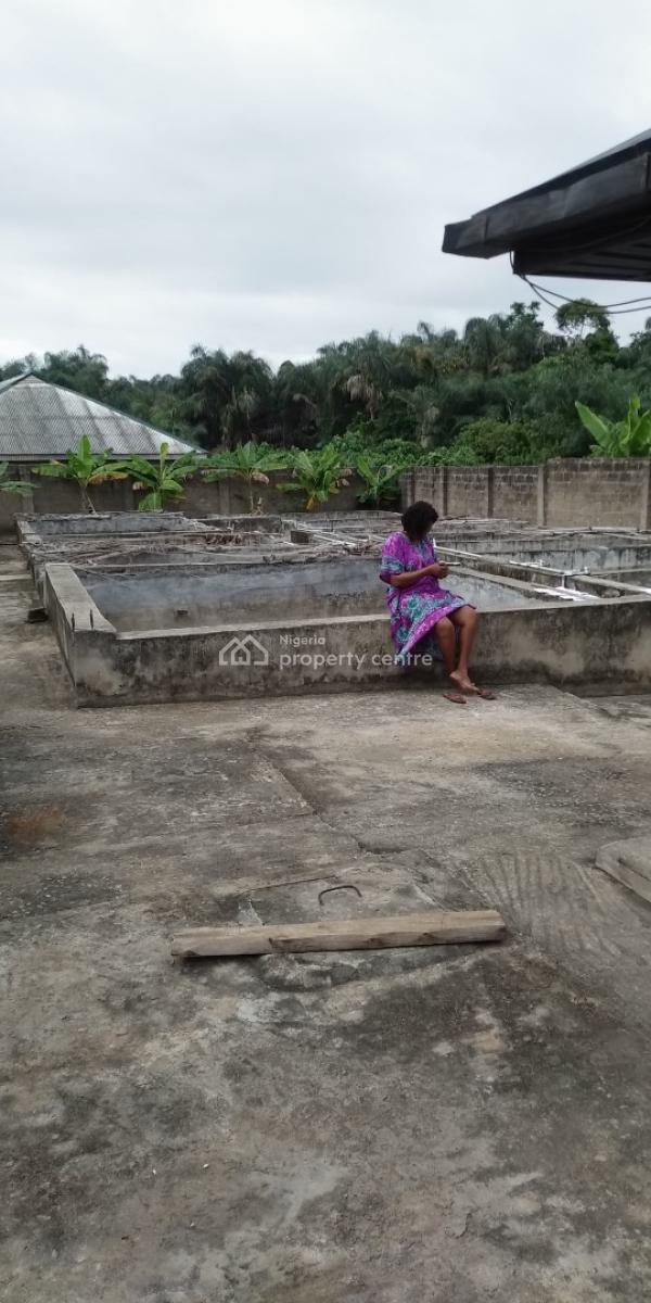 a Fish Pond on Full Plot of Land, Maya, Ikorodu, Lagos, Tank Farm for Sale