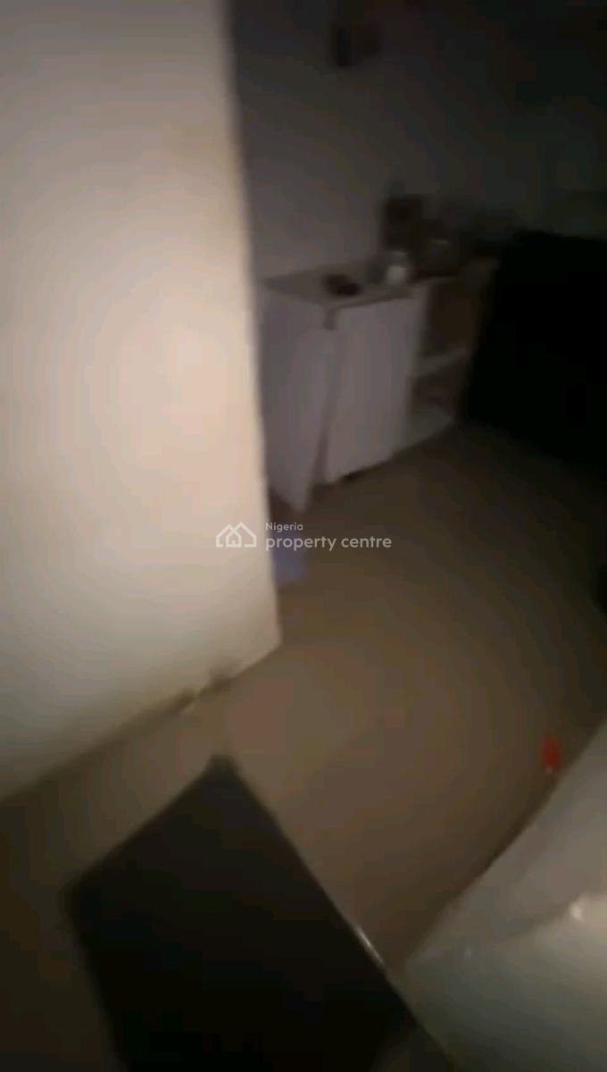 Neatly Used, Spacious and Standard Mini Flat, Off Shyllon, Ilupeju, Lagos, Mini Flat (room and Parlour) for Rent