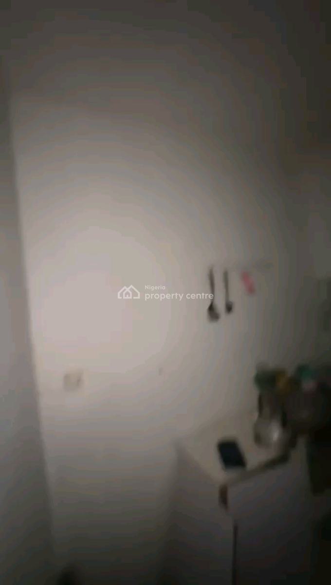 Neatly Used, Spacious and Standard Mini Flat, Off Shyllon, Ilupeju, Lagos, Mini Flat (room and Parlour) for Rent