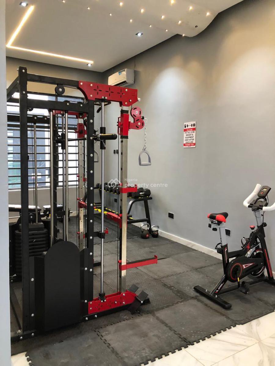 Exquisite 2 Bedroom Apartment with Gym, Ikate, Lekki Phase 1, Lekki, Lagos, Flat / Apartment for Rent