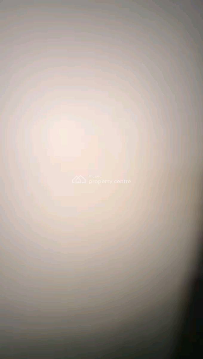 Neatly Used, Spacious and Standard Miniflat in a Secured Environment, Off Shyllon, Ilupeju, Lagos, Mini Flat (room and Parlour) for Rent