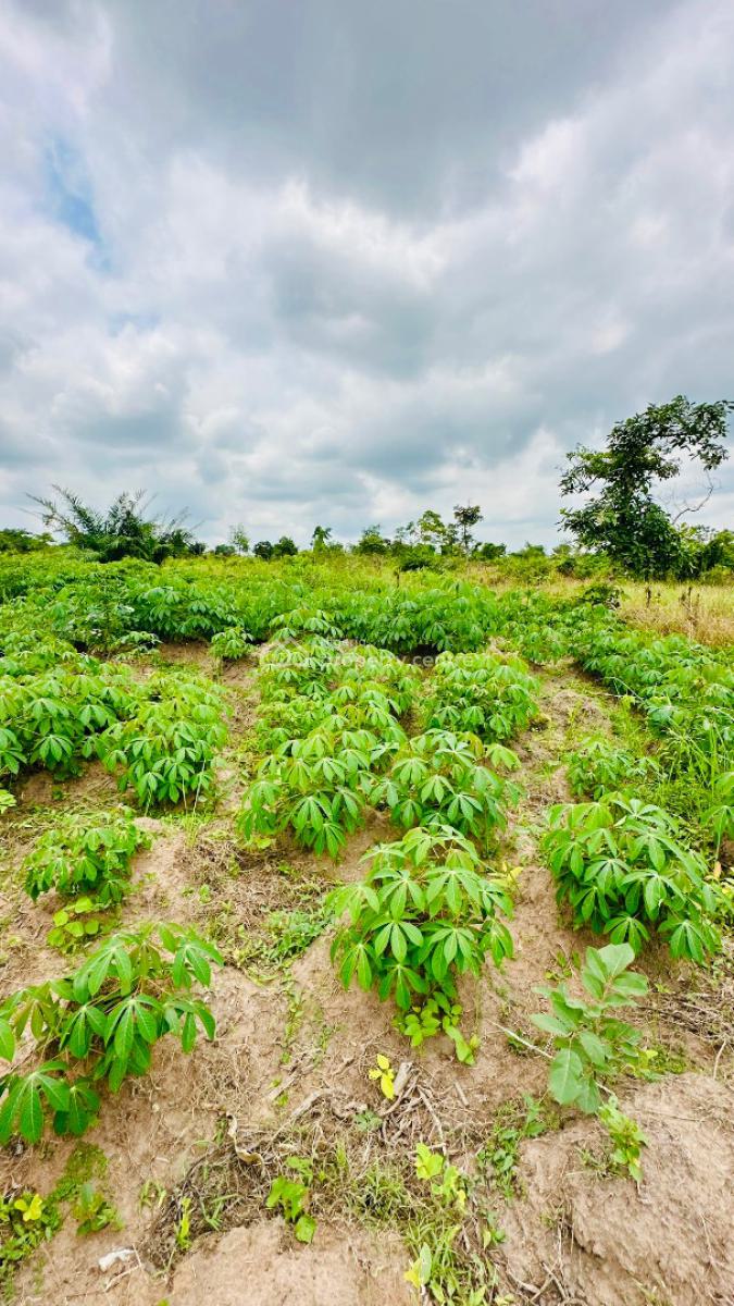 Earn 20 Million Annually for 25 Years When You Own This Farm Land, in The Axis of Alabata Market, Abeokuta South, Ogun, Residential Land for Sale