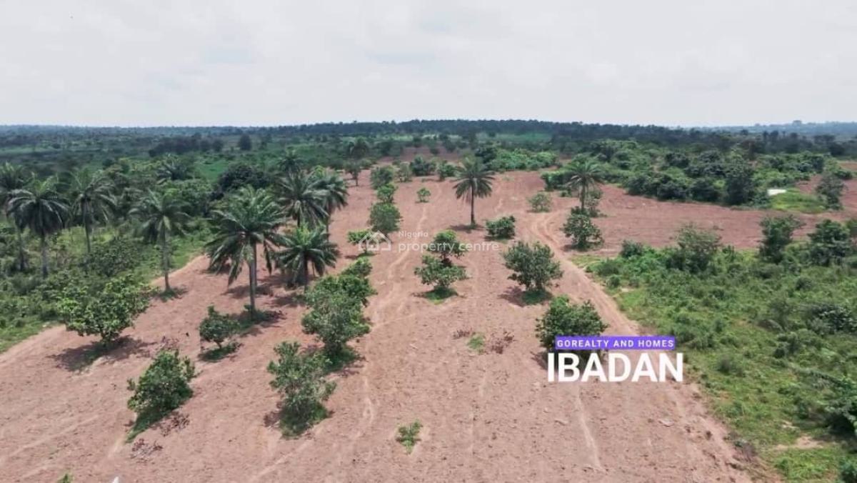 Palm City 2 Go Realty Land Banking Agriculture, Palm City 2 By Go Realty, Ido-eruwa Road, Ido, Oyo, Commercial Land for Sale