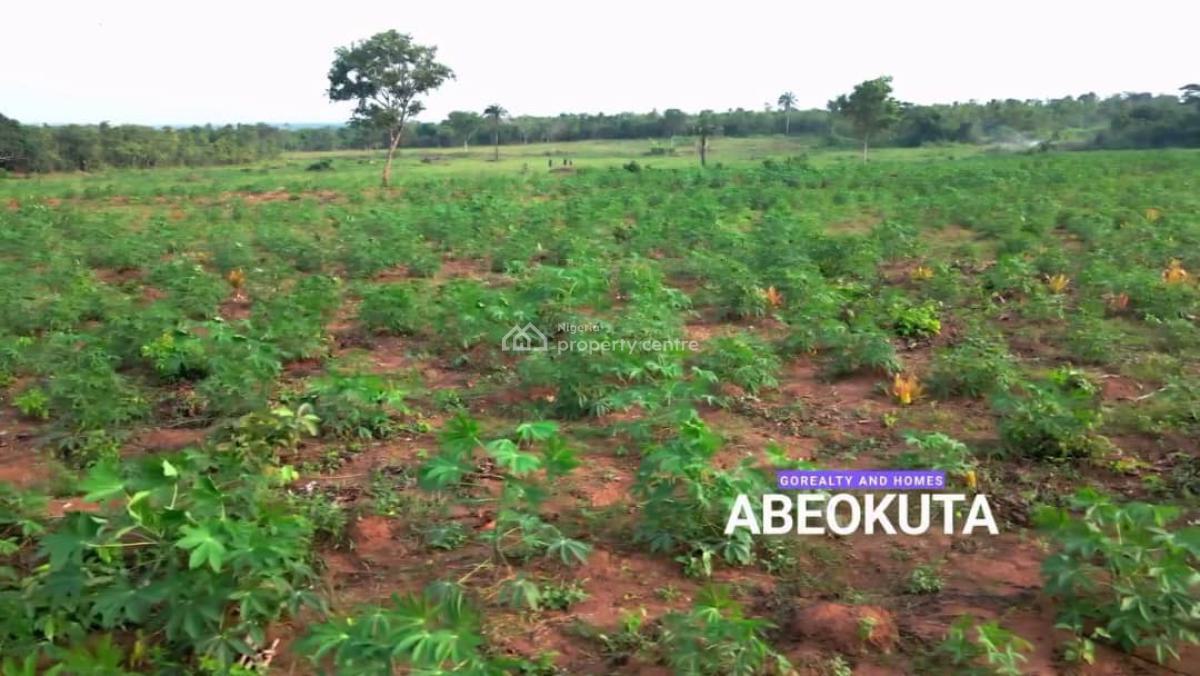 Palm City 2 Go Realty Land Banking Agriculture, Palm City 2 By Go Realty, Ido-eruwa Road, Ido, Oyo, Commercial Land for Sale