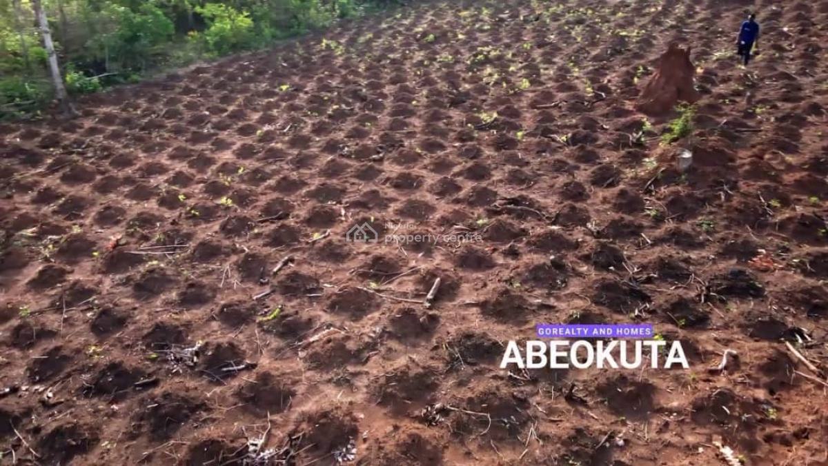 Palm City 2 Go Realty Land Banking Agriculture, Palm City 2 By Go Realty, Ido-eruwa Road, Ido, Oyo, Commercial Land for Sale