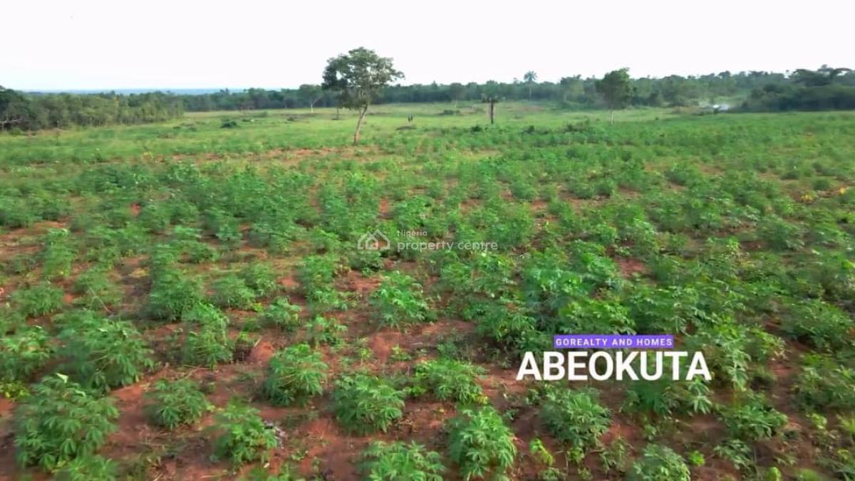 Palm City 2 Go Realty Land Banking Agriculture, Palm City 2 By Go Realty, Ido-eruwa Road, Ido, Oyo, Commercial Land for Sale