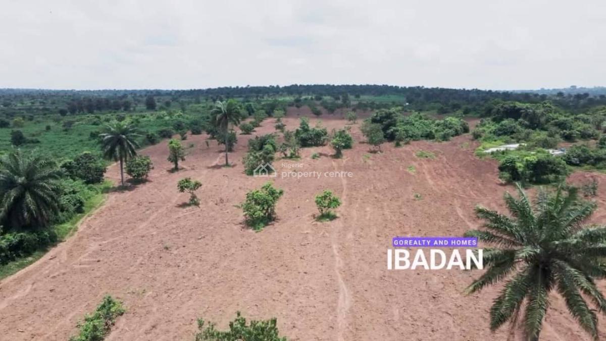 Palm City 2 Go Realty Land Banking Agriculture, Palm City 2 By Go Realty, Ido-eruwa Road, Ido, Oyo, Commercial Land for Sale