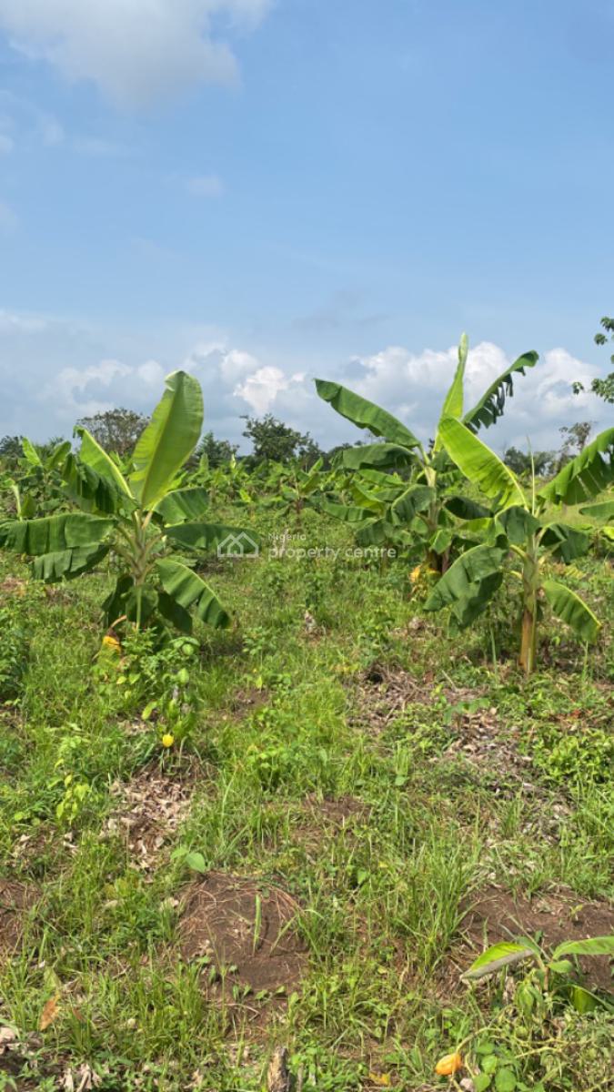 Heritage Farm City Fully Managed Farm Land, Few Minutes From Funnab, Abeokuta South, Ogun, Mixed-use Land for Sale