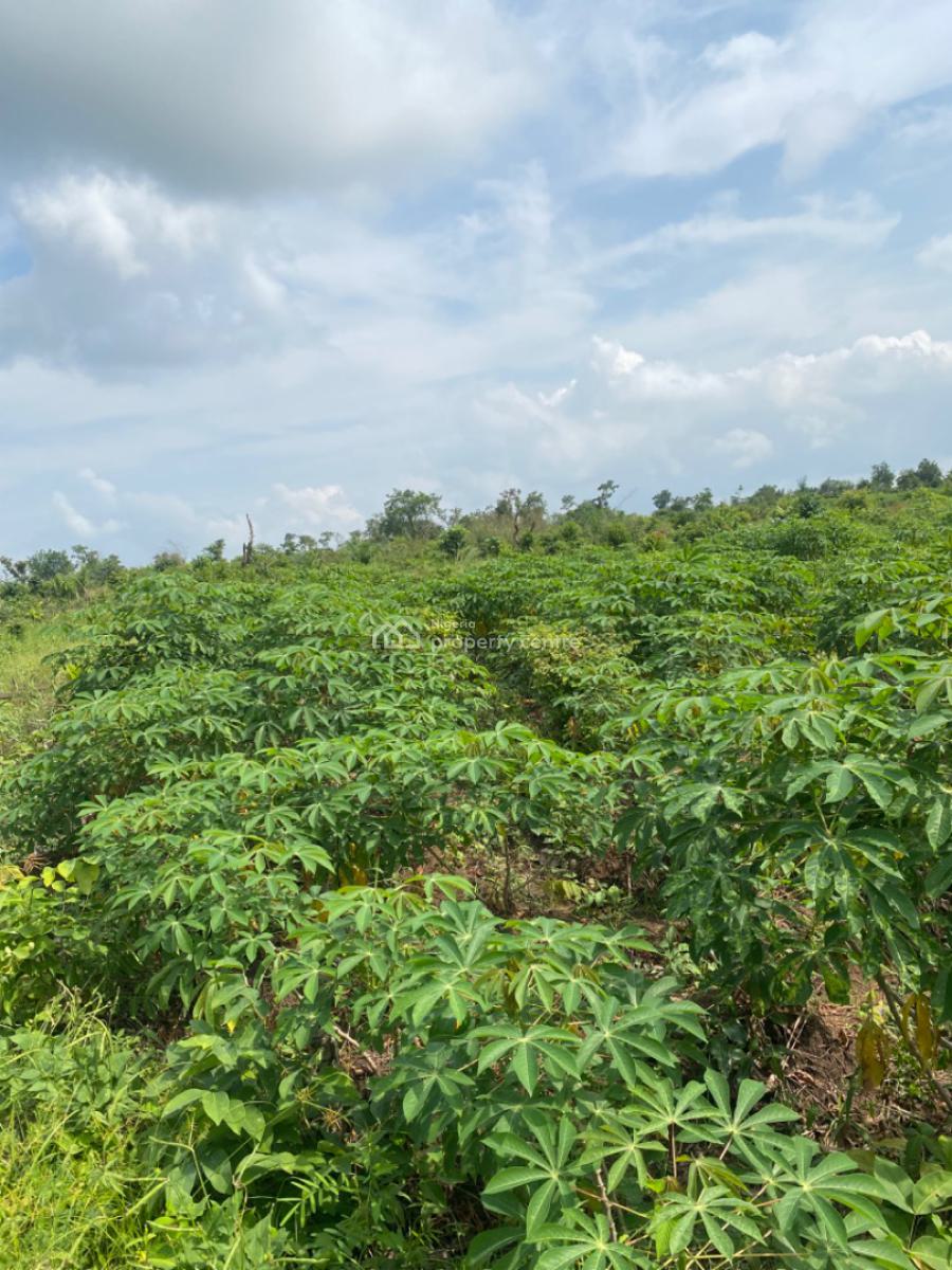 Heritage Farm City Fully Managed Farm Land, Few Minutes From Funnab, Abeokuta South, Ogun, Mixed-use Land for Sale