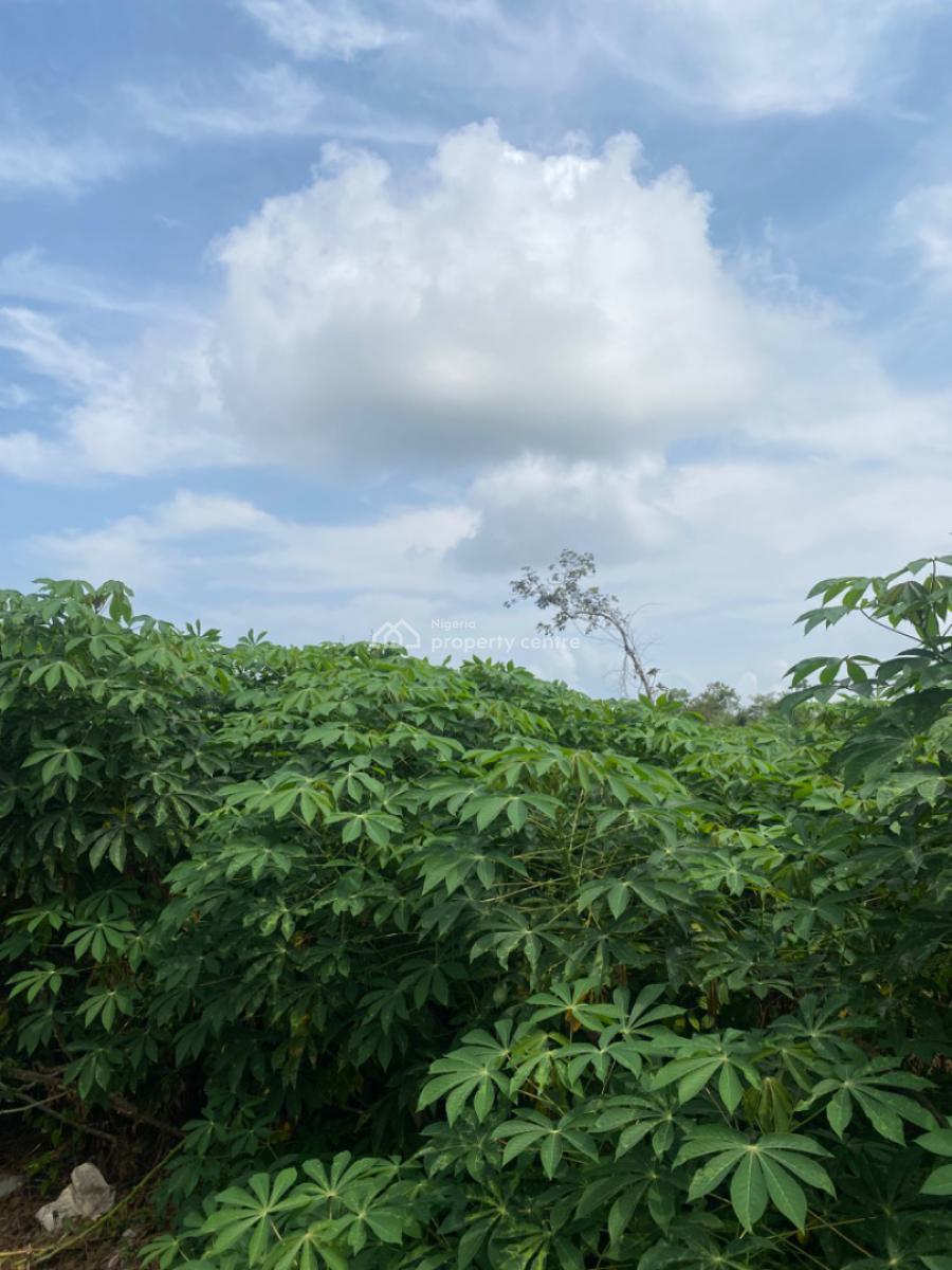 Heritage Farm City Fully Managed Farm Land, Few Minutes From Funnab, Abeokuta South, Ogun, Mixed-use Land for Sale